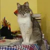 Отзыв от Лия Семина